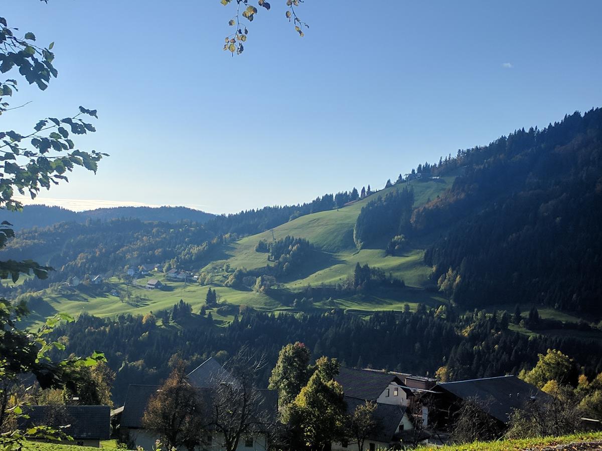 Gostisce In Penzion Stari Vrh Poljane nad Škofjo Loko Eksteriør bilde